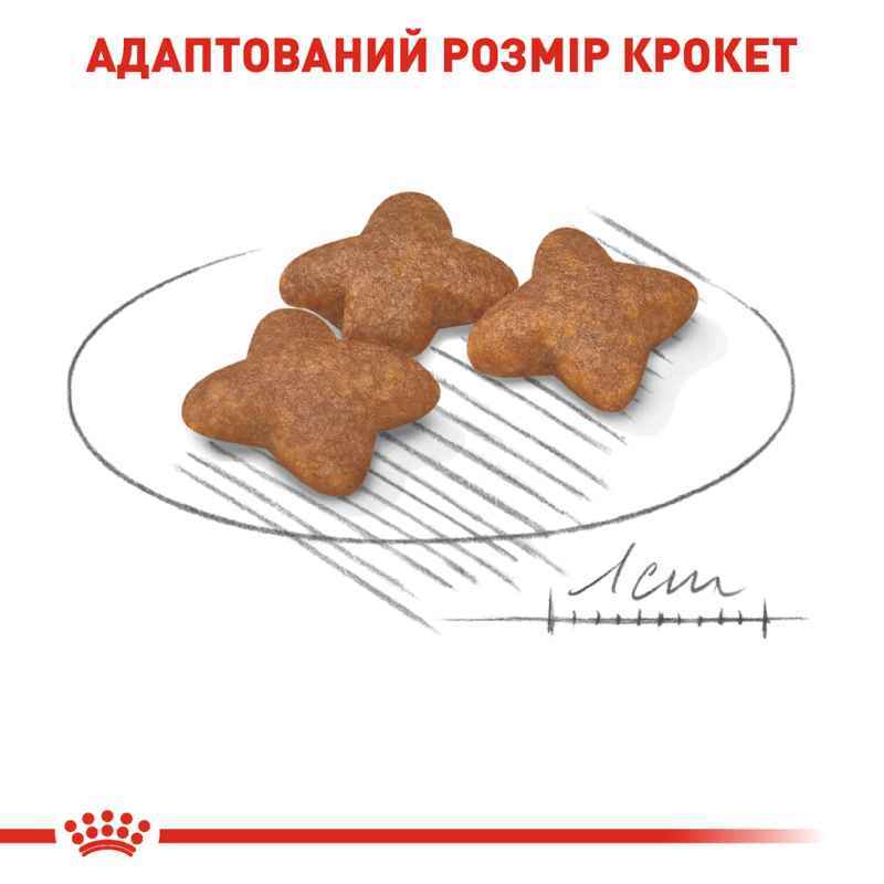 Royal Canin (Роял Канін) Mini Adult - Сухий корм з м'ясом птиці для дорослих собак дрібних порід (800 г) в E-ZOO