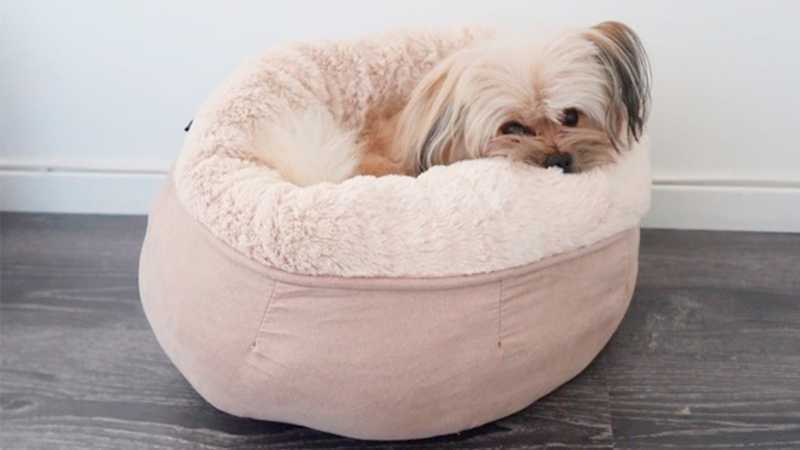 Trixie (Трикси) Elsie Bed - Лежак с высокими бортиками для кошек и собак мелких пород (45 см) в E-ZOO