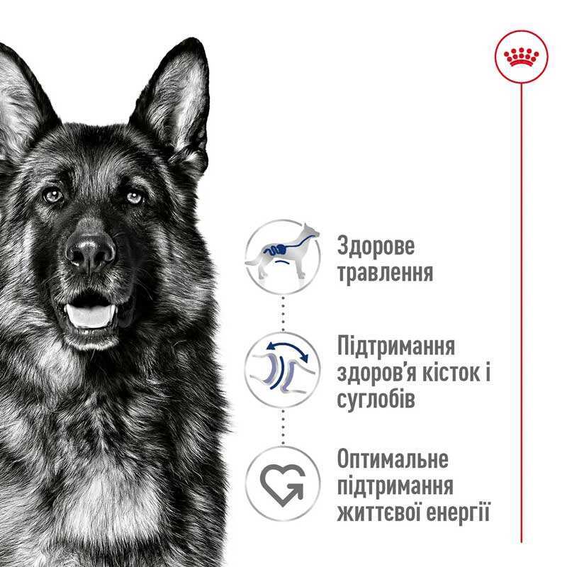 Royal Canin Maxi Adult - Корм збалансований для дорослих собак великих порід (15 кг) в E-ZOO