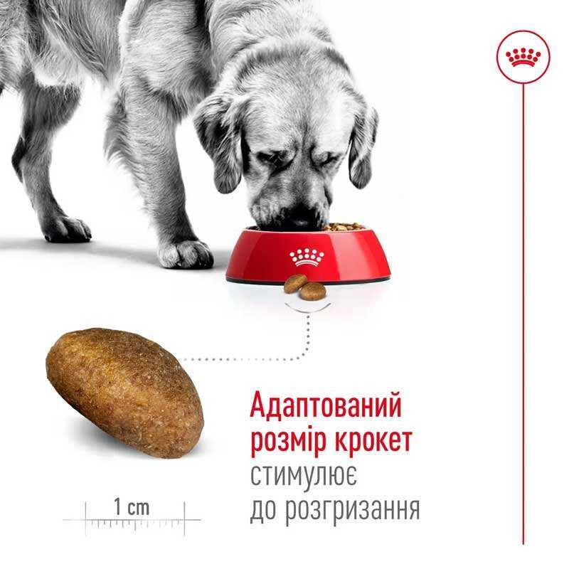 Royal Canin Maxi Adult - Корм збалансований для дорослих собак великих порід (15 кг) в E-ZOO