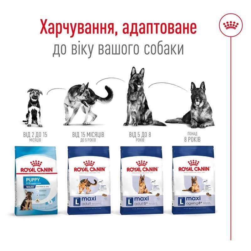 Royal Canin Maxi Adult - Корм збалансований для дорослих собак великих порід (15 кг) в E-ZOO