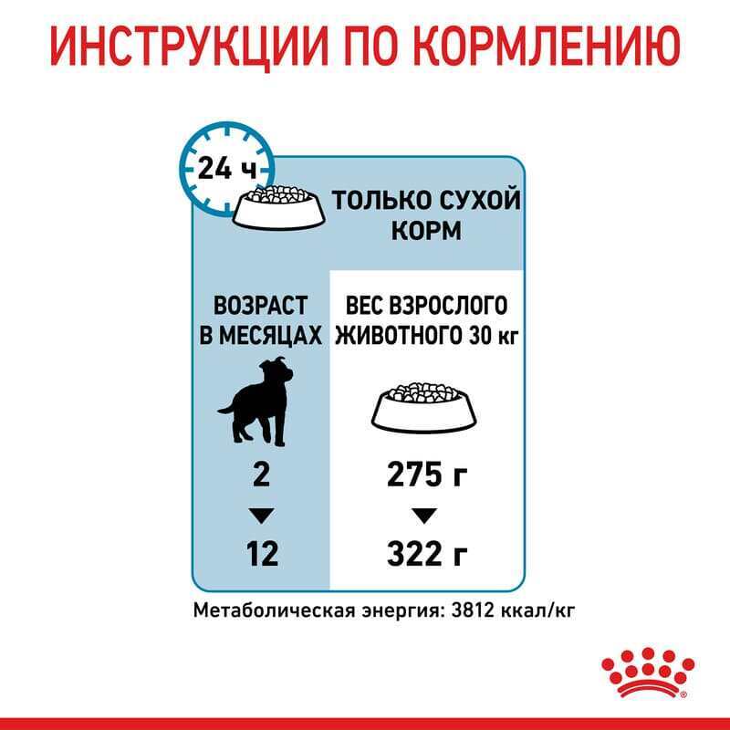 Royal Canin (Роял Канин) Maxi Puppy - Сухой корм для щенков от 2 до 15 месяцев (4 кг) в E-ZOO