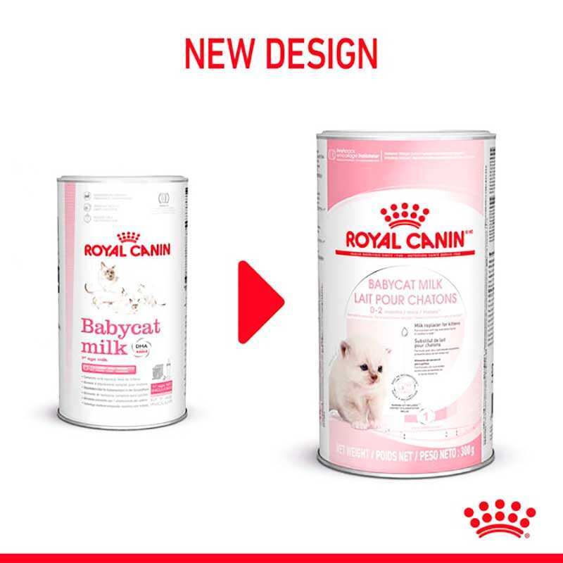 Royal Canin (Роял Канин) Babycat Milk - Заменитель молока для котят (300 г) в E-ZOO