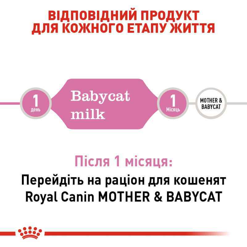 Royal Canin (Роял Канін) Babycat Milk - Замінник молока для кошенят (300 г) в E-ZOO