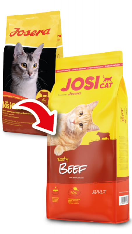 JosiCat (ЙозіКет) by Josera Tasty Beef - Сухий корм з яловичиною для котів (10 кг) в E-ZOO