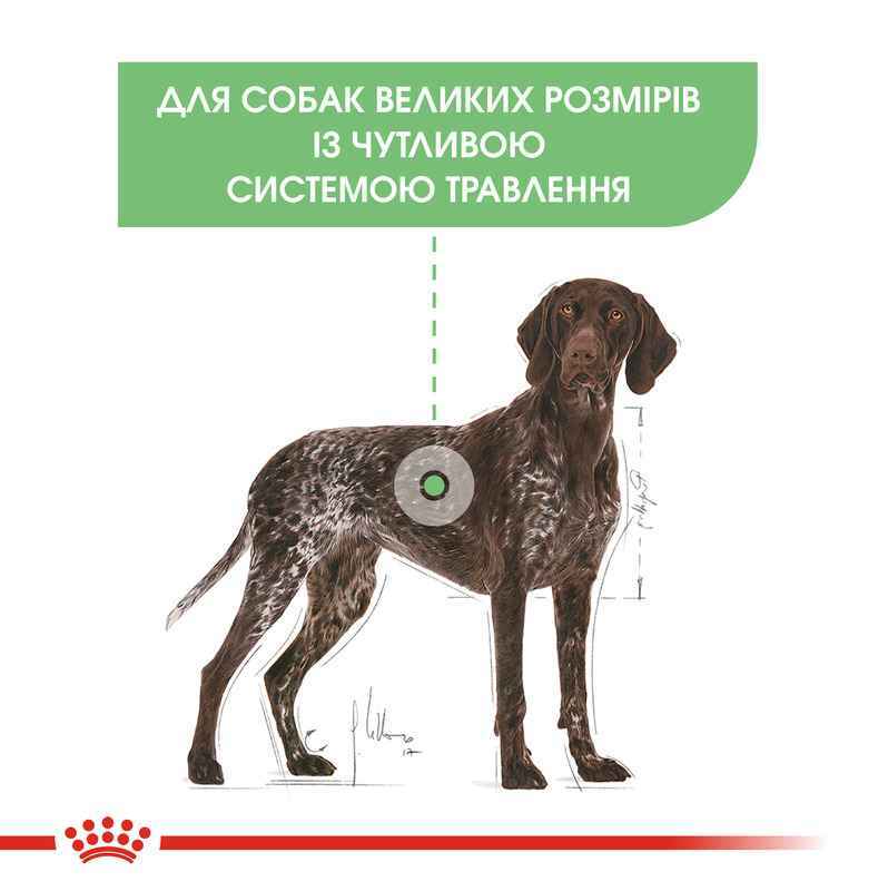 Royal Canin (Роял Канин) Maxi Digestive Care (Sensible) - Сухой корм для собак с чувствительным пищеварением - Фото 2