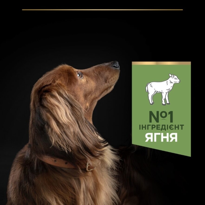 Purina Pro Plan (Пурина Про План) Small&Mini Sensitive Digestion - Сухой корм с ягненком для собак мелких пород с чувствительным пищеварением (3 кг) в E-ZOO
