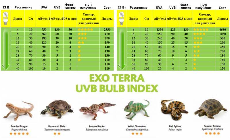 Exo Terra (Экзо Терра) Reptile UVB 200 - Лампа для пустынных рептилий (13W) в E-ZOO