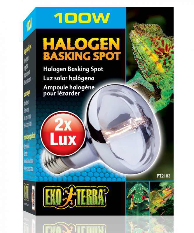Exo Terra (Екзо Терра) Halogen Basking Spot - Лампа галогенова для тераріуму (50W) в E-ZOO