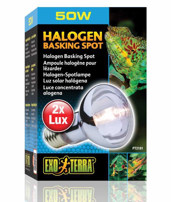 Exo Terra (Екзо Терра) Halogen Basking Spot - Лампа галогенова для тераріуму (50W) в E-ZOO