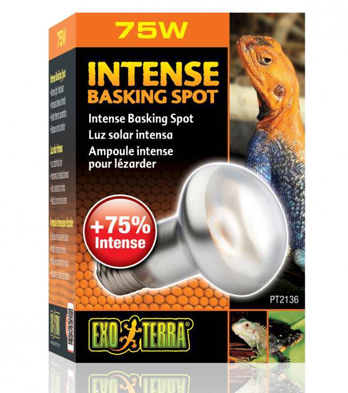 Exo Terra (Екзо Терра) Intense Basking Spot - Лампа розжарювання рефлекторна для тераріуму (75W) в E-ZOO