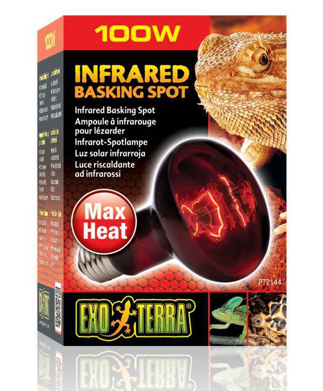 Exo Terra (Экзо Терра) Infrared Basking Spot - Лампа накаливания инфракрасная для террариума (75W) в E-ZOO