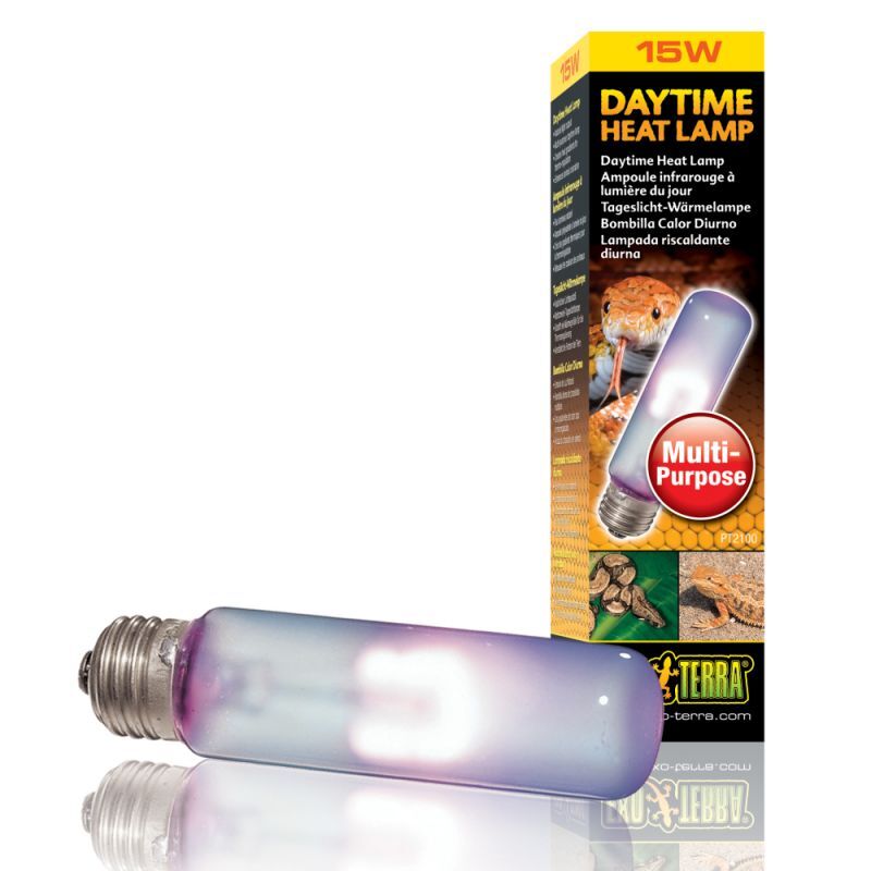 Exo Terra (Екзо Терра) Daytime Heat Lamp - Лампа розжарювання з неодимовою колбою для тераріуму (T10/15W) в E-ZOO