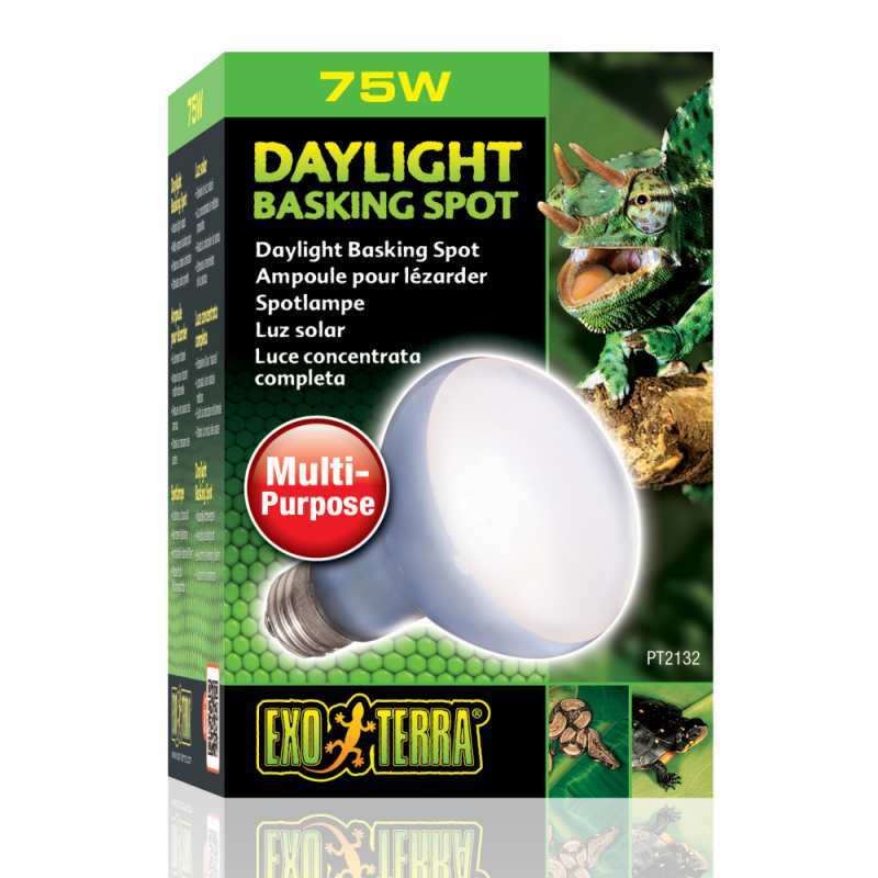 Exo Terra (Экзо Терра) Daylight Basking Spot - Лампа накаливания неоновая с неодимовой колбой для террариума (50W) в E-ZOO