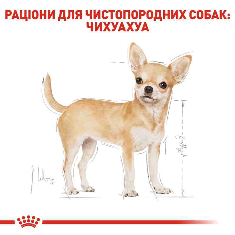 Royal Canin (Роял Канін) Chihuahua Adult - Сухий корм для собак породи Чіхуахуа (500 г) в E-ZOO