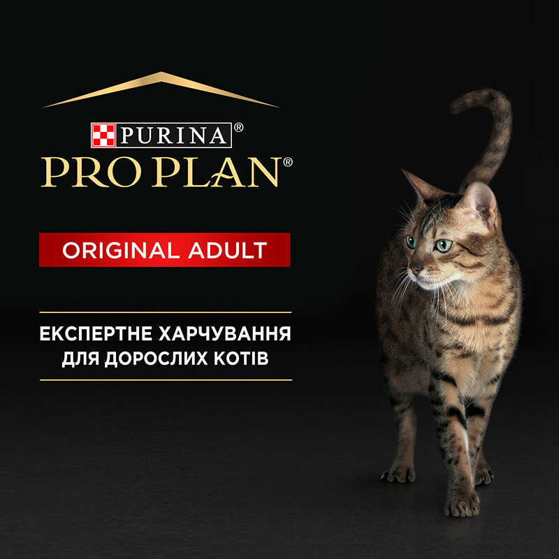 Purina Pro Plan (Пуріна Про План) Adult Chicken Cat - Консервований корм з куркою для дорослих котів (шматочки в паштеті) (24х85 г (box)) в E-ZOO