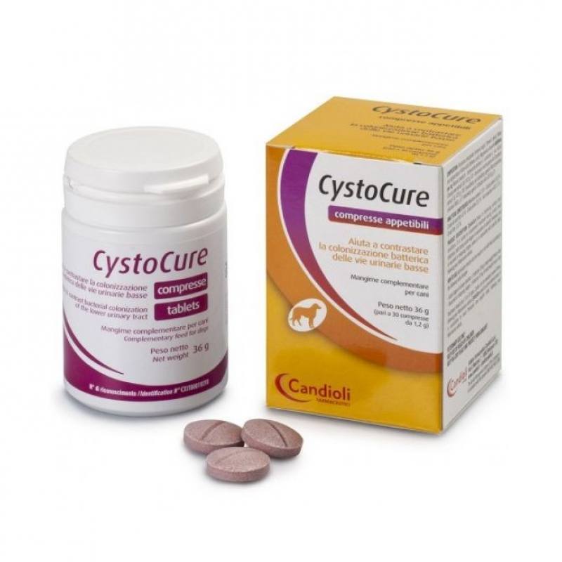 Candioli (Кандіолі) CystoCure - Засіб Цистокур для підтримки сечостатевої системи у собак та котів (30 шт./табл.) в E-ZOO