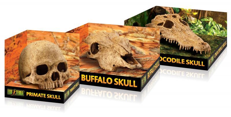Exo Terra (Экзо Терра) Buffalo Skull - Декорация укрытие Череп быка (24x14x9 см) в E-ZOO