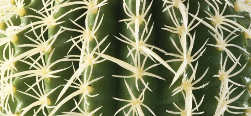 Exo Terra (Екзо Терра) Desert Plant Barrel Cactus - Пластикова декоративна рослина для тераріуму (12 см) в E-ZOO