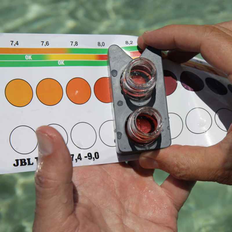 JBL (ДжіБіЕль) ProAquaTest pH 7.4-9.0 Test - Експрес-тест для визначення значення pH в діапазоні 7,4-9,0 в ставках, акваріумах (Комплект) в E-ZOO