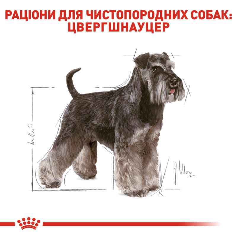 Royal Canin (Роял Канін) Schnauzer Adult - Сухий корм з м'ясом птиці для дорослих собак породи Шнауцер (Цвергшнауцер) (3 кг) в E-ZOO