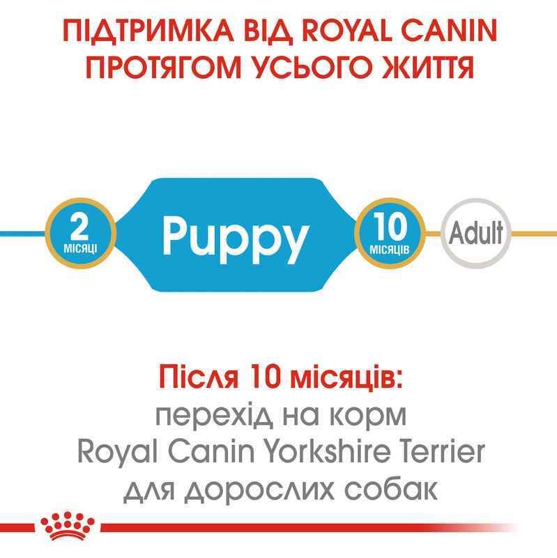 Royal Canin (Роял Канін) Yorkshire Terrier Puppy - Сухий корм з м'ясом птиці для цуценят Йоркширського Тер'єра (1,5 кг) в E-ZOO