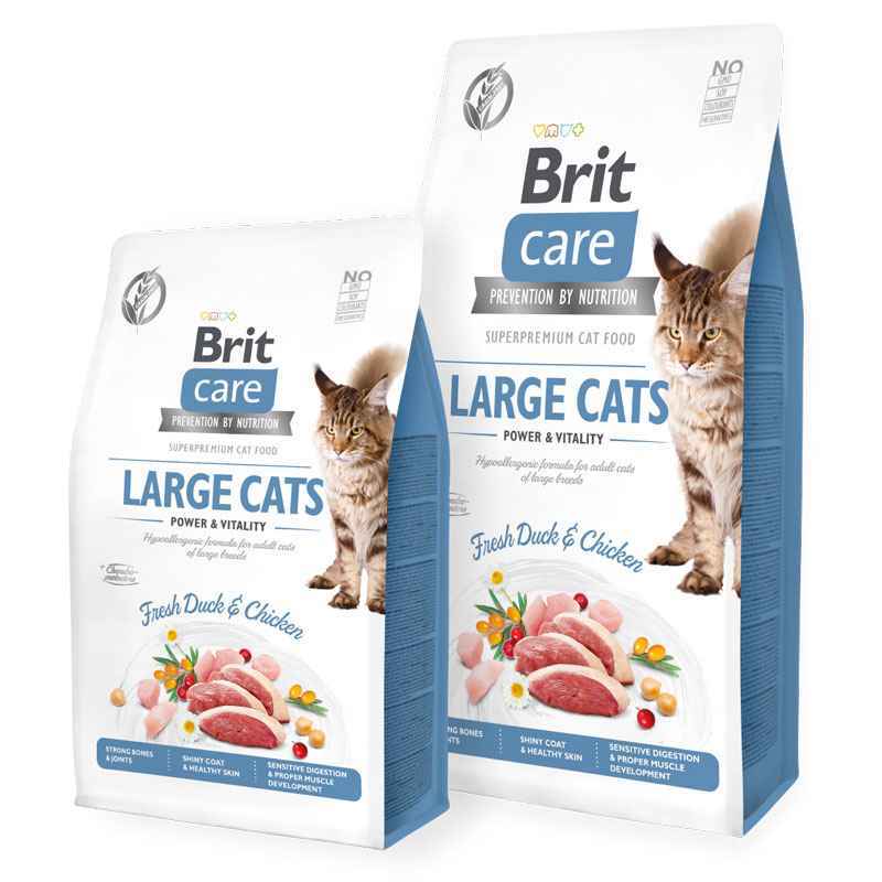 Brit Care (Брит Кеа) Grain-Free Large cats - Сухой беззерновой корм с курицей и уткой для взрослых кошек крупных пород (400 г) в E-ZOO