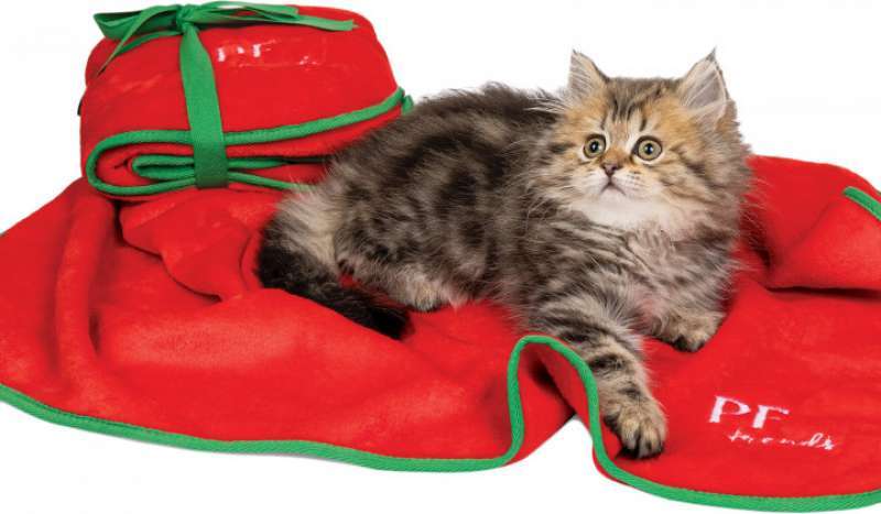 Pet Fashion (Пэт Фешн) Плед Сhristmas Bliss для котов (77х60 см) в E-ZOO