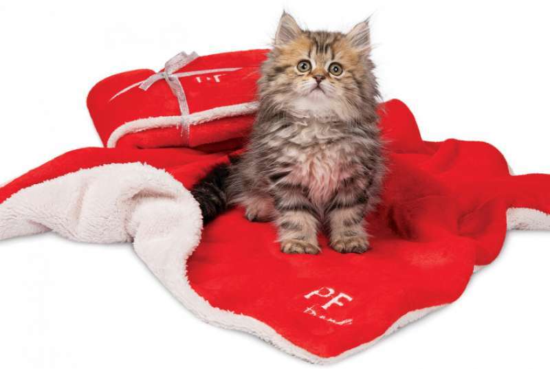 Pet Fashion (Пэт Фешн) Плед New Year Gift для котов (75х100 см) в E-ZOO
