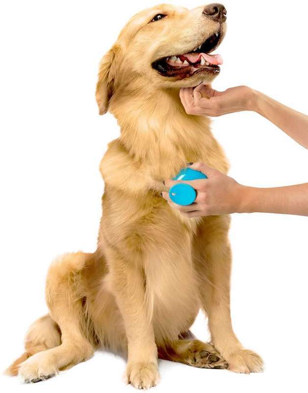 Dexas (Дексас) StressBuster - Масажна щітка для догляду за шерстю собак (1 шт.) в E-ZOO
