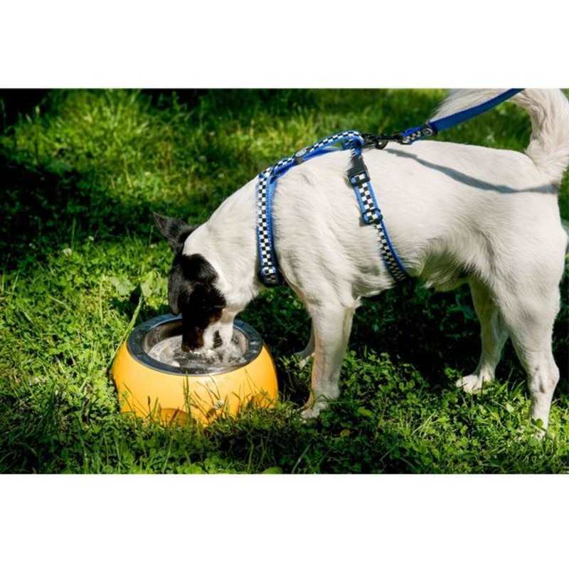Kiwi Walker (Киви Вокер) Cheese Bowl - Миска для собак со съёмной чашей из нержавеющей стали (750 мл) в E-ZOO