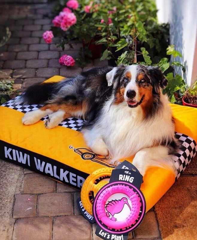 Kiwi Walker (Киви Вокер) Racing Kiwi - Матрас для собак с эффектом памяти (65х45х6 см) в E-ZOO