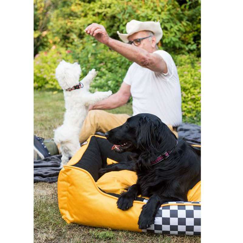 Kiwi Walker (Киви Вокер) Racing Kiwi - Лежак для собак (65х45х22 см) в E-ZOO