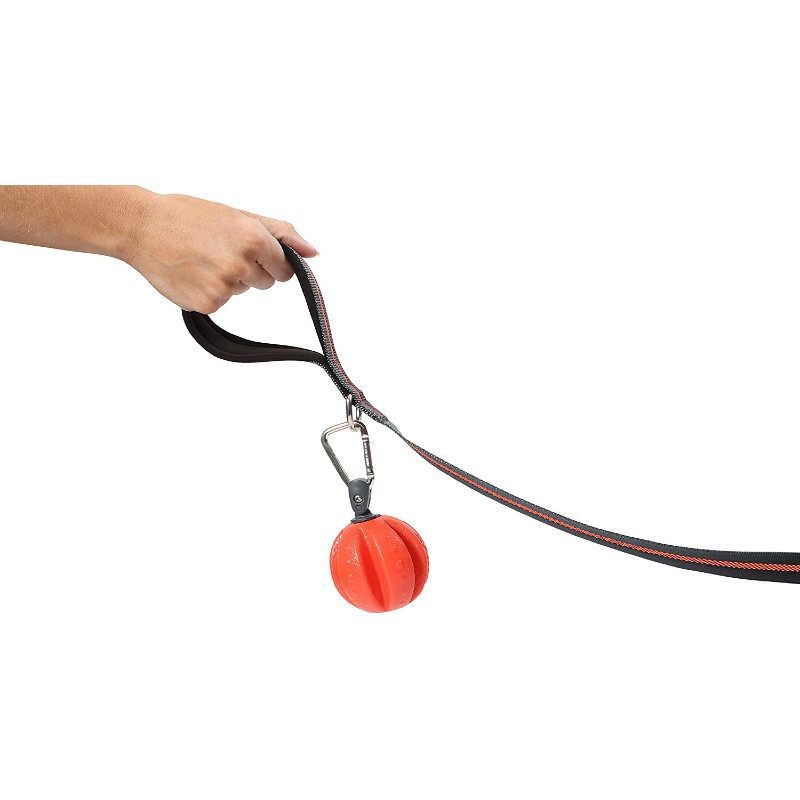 Dexas (Дексас) Off-Leash - Игрушка мяч с карабином для собак (⌀ 7 см) в E-ZOO