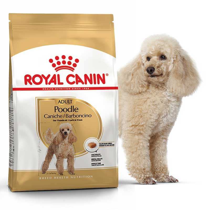 Royal Canin (Роял Канин) Poodle Adult - Сухой корм с мясом птицы для взрослых собак породы Пудель (1,5 кг) в E-ZOO