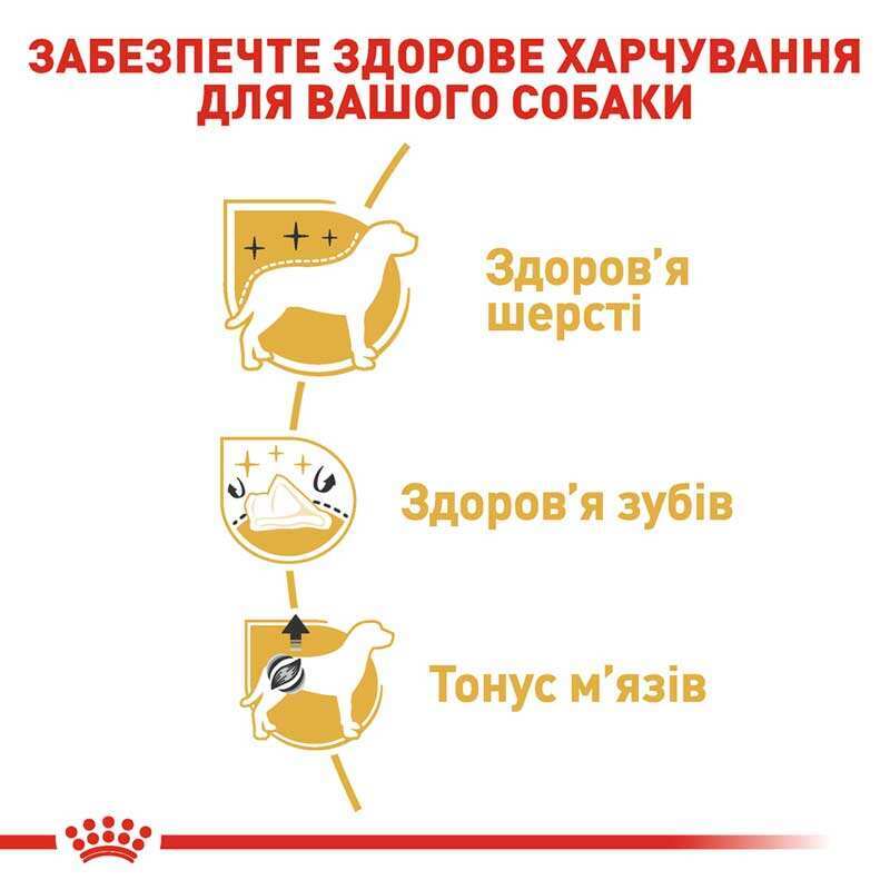 Royal Canin (Роял Канин) Poodle Adult - Сухой корм с мясом птицы для взрослых собак породы Пудель (1,5 кг) в E-ZOO