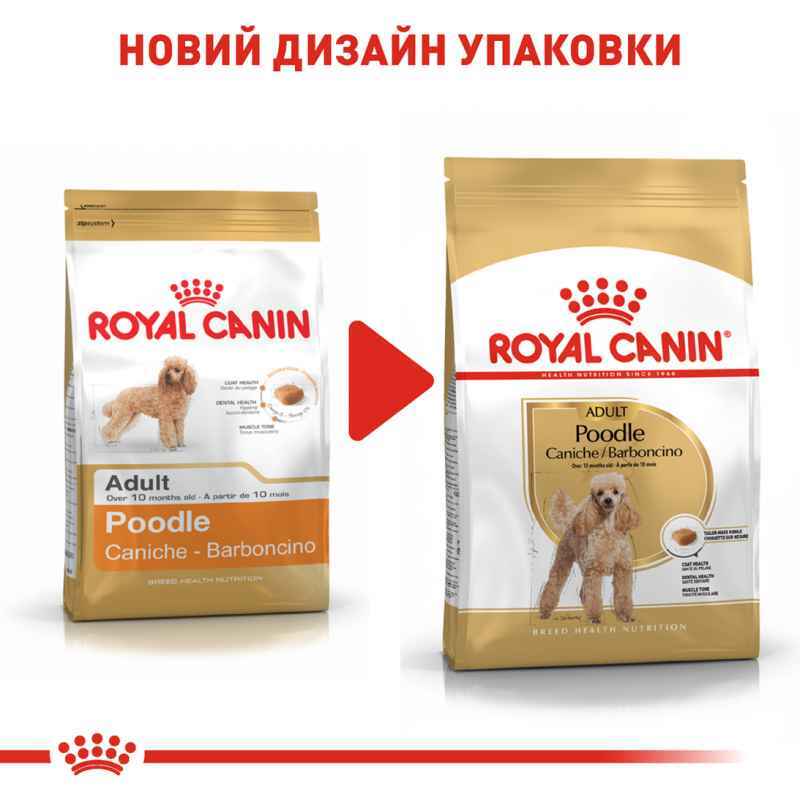 Royal Canin (Роял Канін) Poodle Adult - Сухий корм з м'ясом птиці для дорослих собак породи Пудель (1,5 кг) в E-ZOO