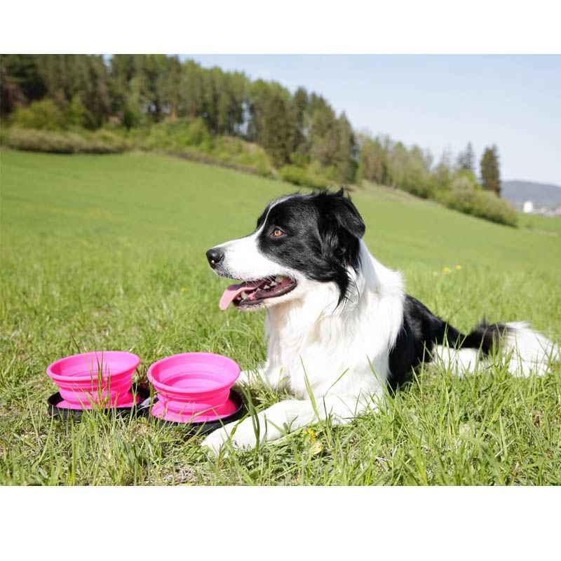 Kiwi Walker (Киви Вокер) Travel Double Bowl - Складные дорожные миски 2 в 1 для собак (2х350 мл) в E-ZOO