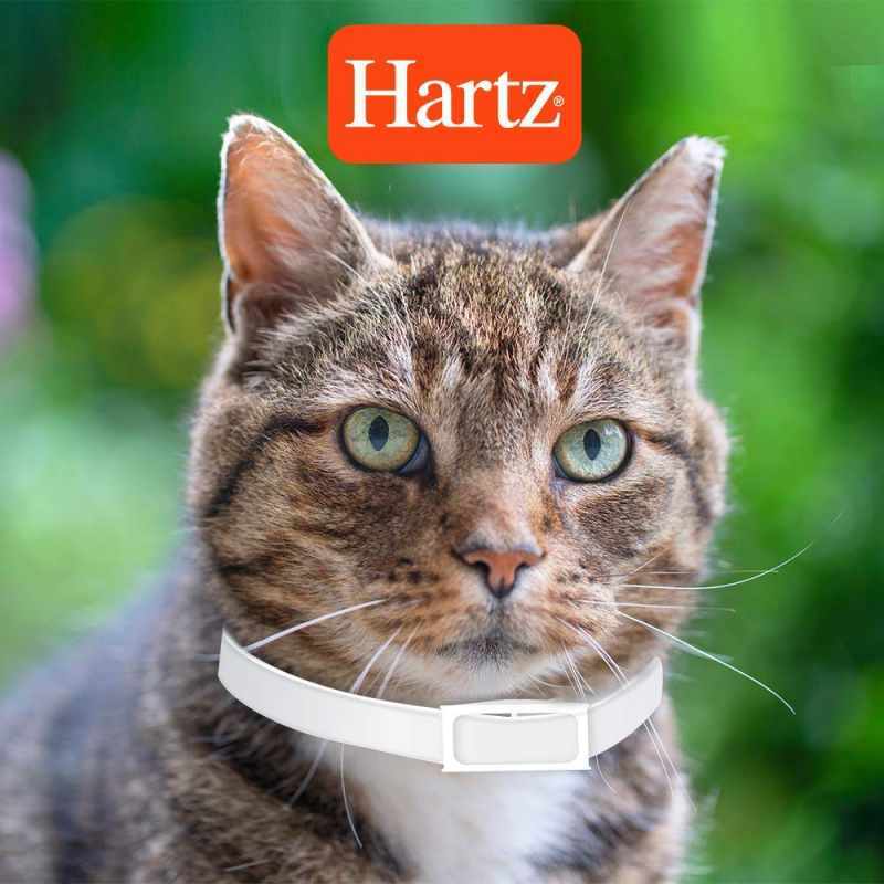 Hartz (Хартц) Ultra Guard PLUS Flea&Tick Collar Cats and Kittens - Светоотражающий ошейник от блох и клещей для кошек и котят с 12 недель (15х0,3х9,7 см) в E-ZOO