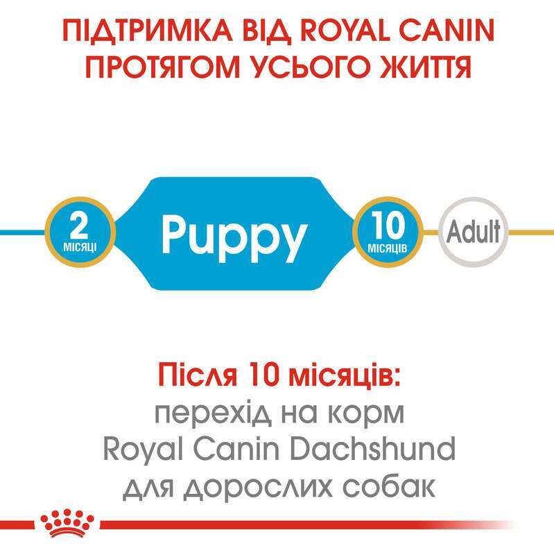 Royal Canin (Роял Канін) Dachshund Puppy - Сухий корм з м'ясом птиці для щенят такси (1,5 кг) в E-ZOO