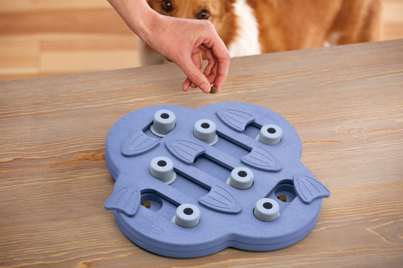 Nina Ottosson (Нина Оттоссон) Dog Hide N' Slide Composite - Интерактивная игрушка-пазл «Тайник» для собак (33x33 см) в E-ZOO