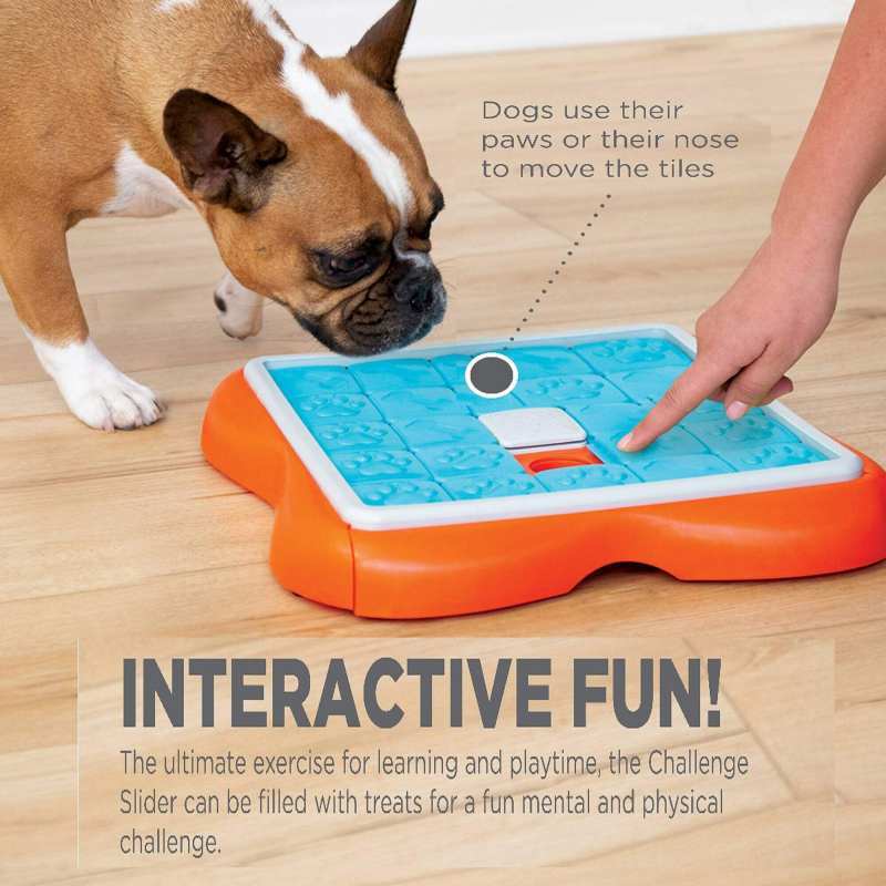 Nina Ottosson (Нина Оттоссон) Challenge Slider dog Puzzle - Интерактивная игрушка-головоломка «Пятнашки» для собак (37x37х5 см) в E-ZOO