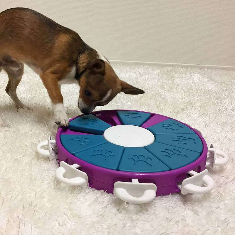 Nina Ottosson (Ніна Оттоссон) Dog Twister - Інтерактивна гра-головоломка Твістер для собак (26х4,5 см) в E-ZOO
