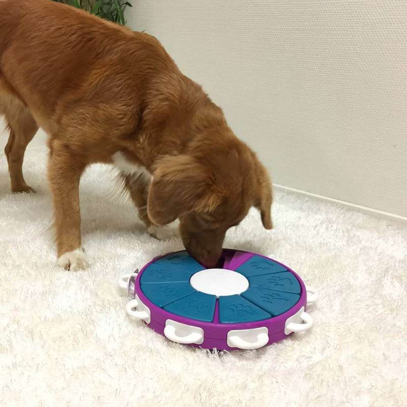 Nina Ottosson (Нина Оттоссон) Dog Twister - Интерактивная игра-головоломка Твистер для собак (26х4,5 см) в E-ZOO