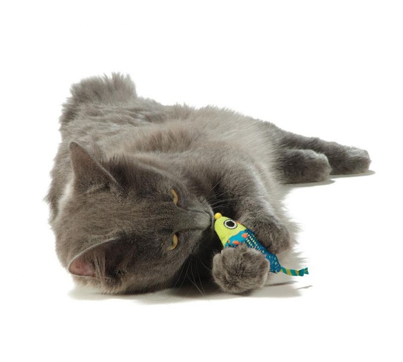 Petstages (Петстейджес) Catnip Chew Mice – Игрушки для котов в форме мышки с кошачьей мятой (Комплект) в E-ZOO