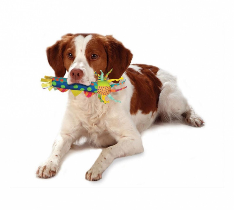 Petstages (Петстейджес) Cool Teething Stick– Игрушка для собак охлаждающая, для нежных десен (21,6х14х4,5 см) в E-ZOO