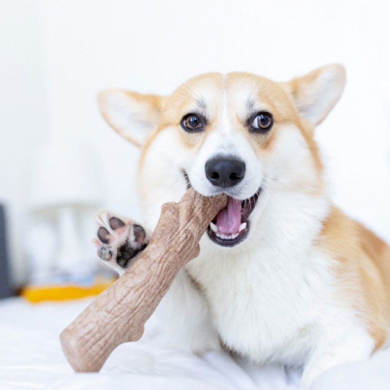 Petstages (Петстейджес) Dogwood Stick – Игрушка для собак Крепкая ветка (21 см) в E-ZOO