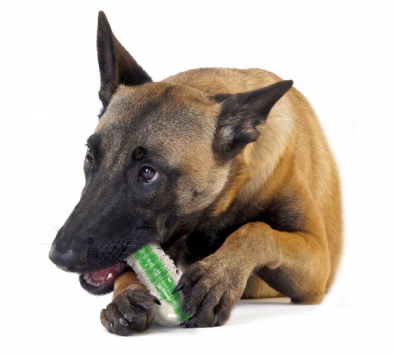Petstages (Петстейджес) CrunchCore - Іграшка для собак Хрумка кісточка (13 см) в E-ZOO