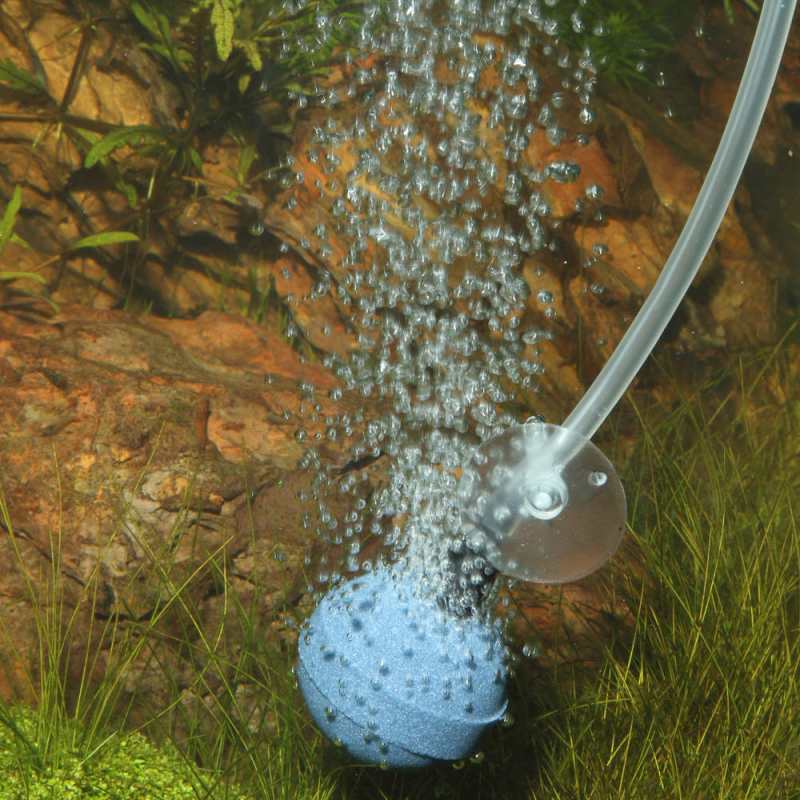 JBL (ДжиБиЭль) ProSilent Aeros Micro Ball - Распылитель диаметром 40 мм для мелких пузырьков (L) в E-ZOO