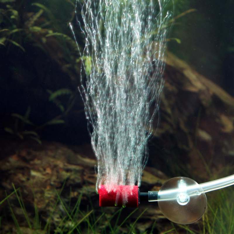 JBL (ДжиБиЭль) ProSilent Aeras Micro S3 - Набор из трёх цветных распылителей для мелких пузырьков в аквариуме (3х14 мм) в E-ZOO